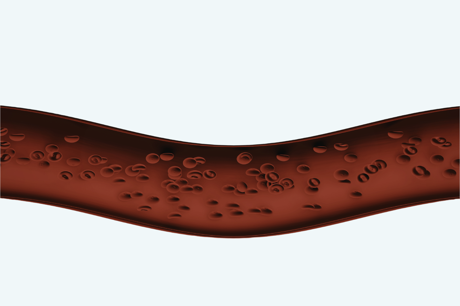 Circulation illustration