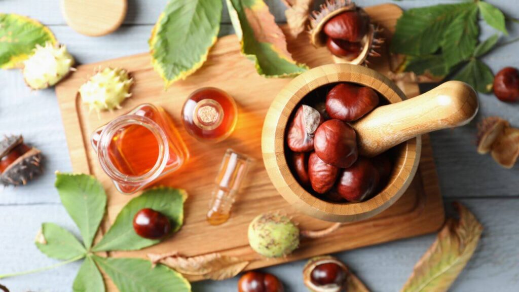 Horsec hestnut extract